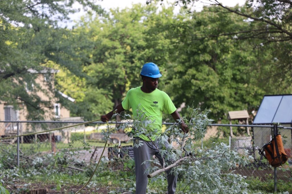 Harrison Tree Care Action