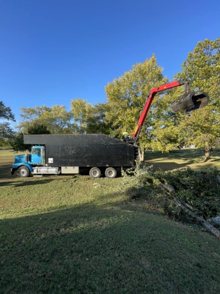 Harrison Tree Care Missouri Portfolio1