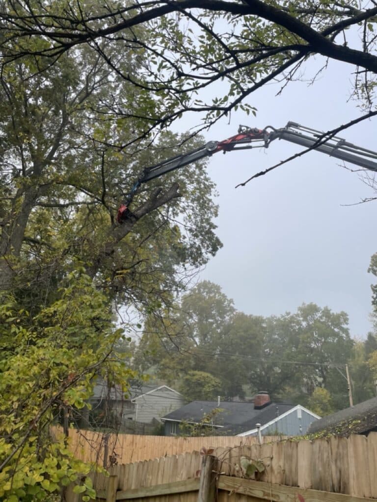 Harrison Tree Care Missouri Portfolio2